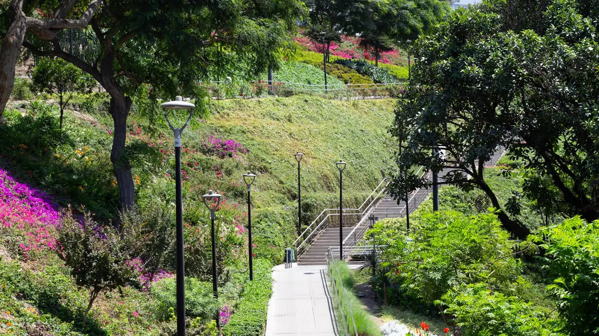Jardines, árboles y escaleras en una bajada del malecón de Miraflores